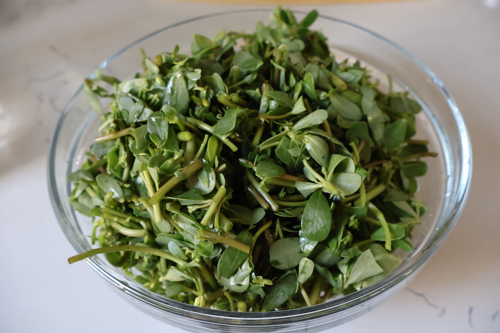 Zeytinyağlı Semizotu Yemeği